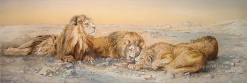 León Painting - leones en el desierto